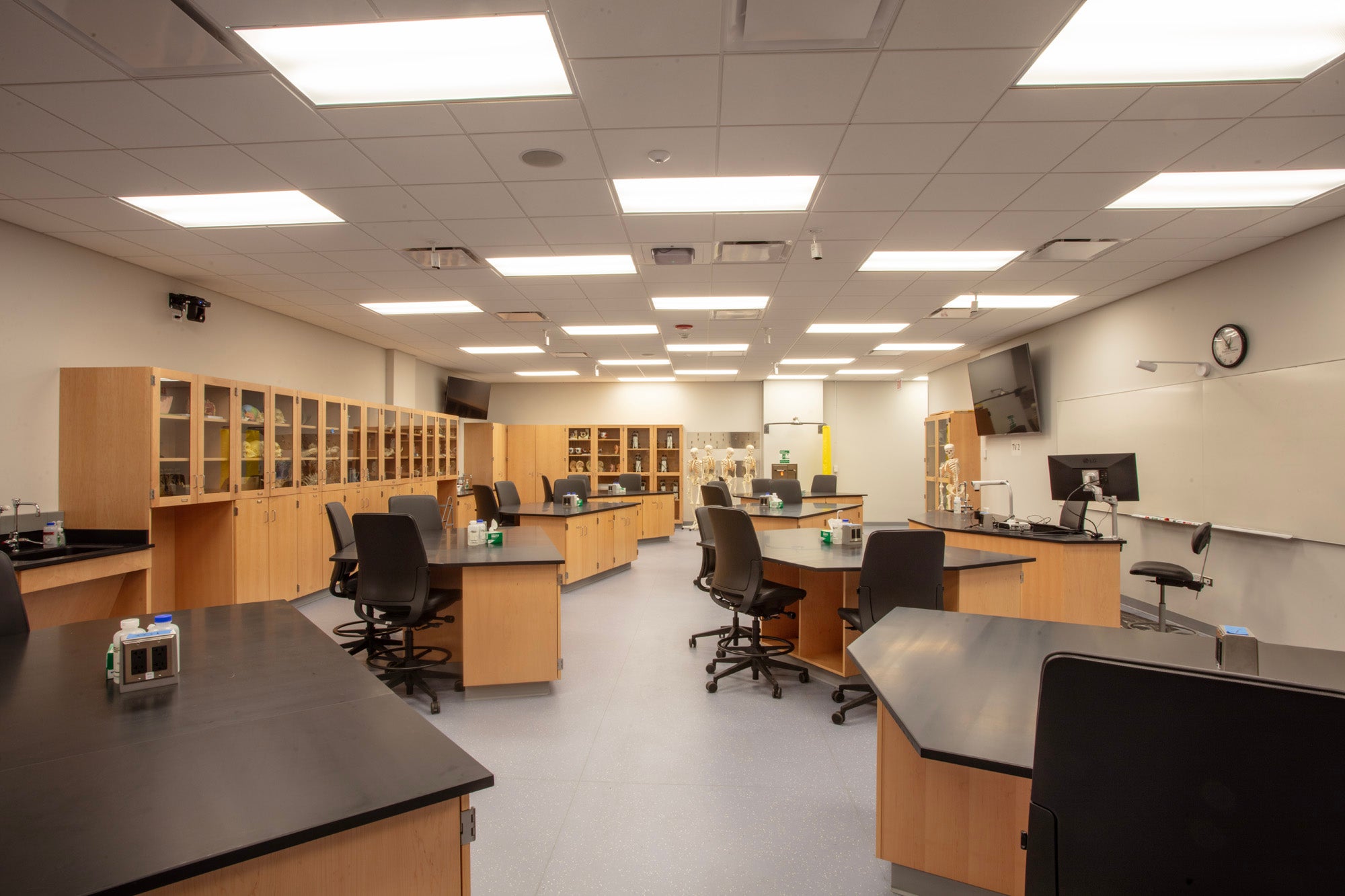 Biotech in the Classroom: Truman College Awarded ABE/Amgen Grant to ...