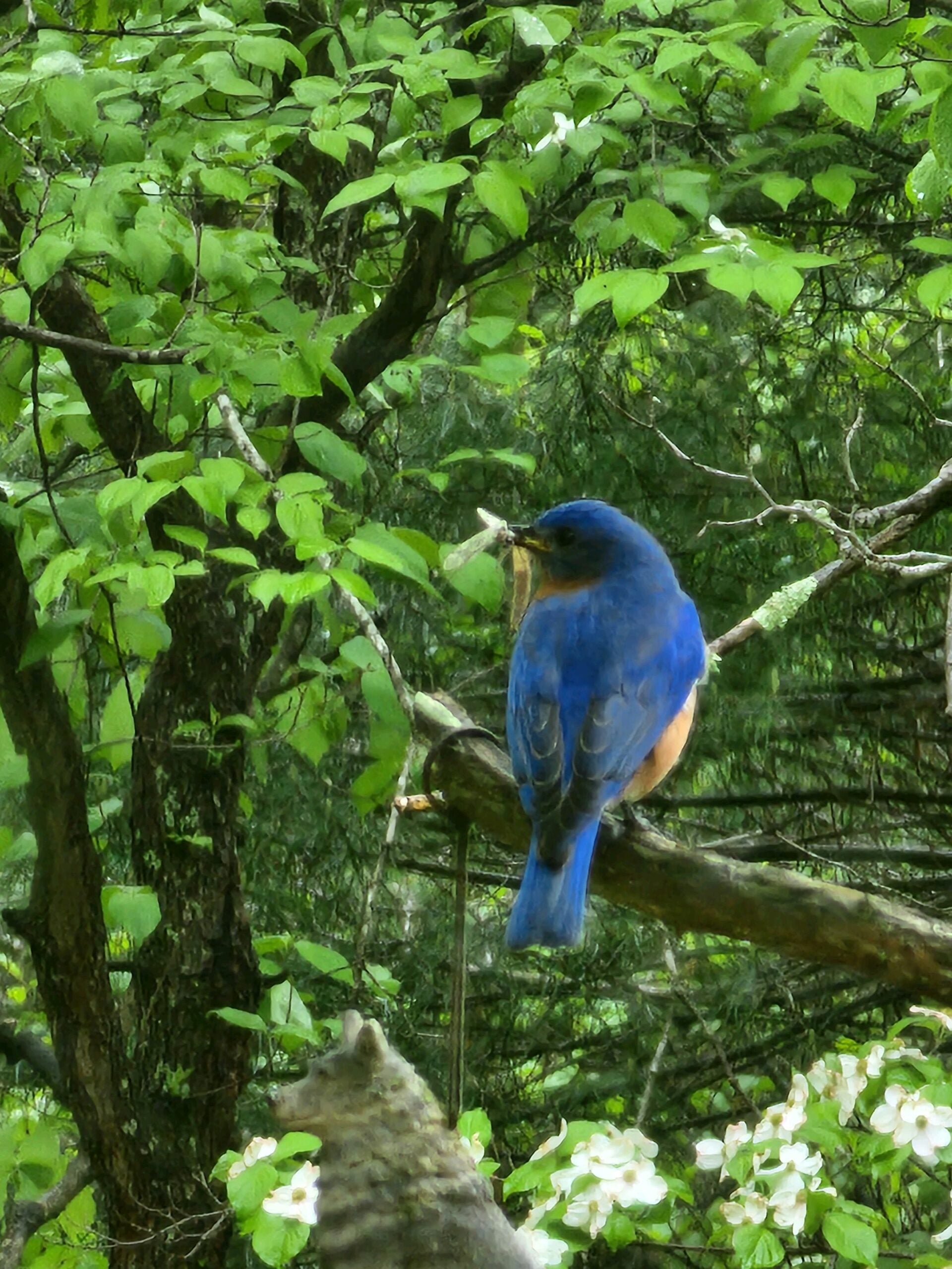 Data Collected by the U.S. Department of Energy’s Urban Integrated Field Laboratory will Help Scientists Understand Climate Change in the City’s Most Vulnerable Neighborhoods